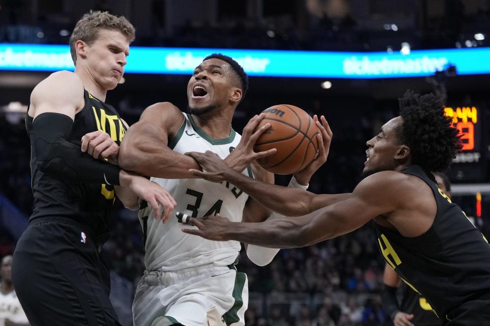 但他们的雄 但他们的雄